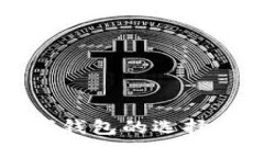比特币数字钱包的选择与